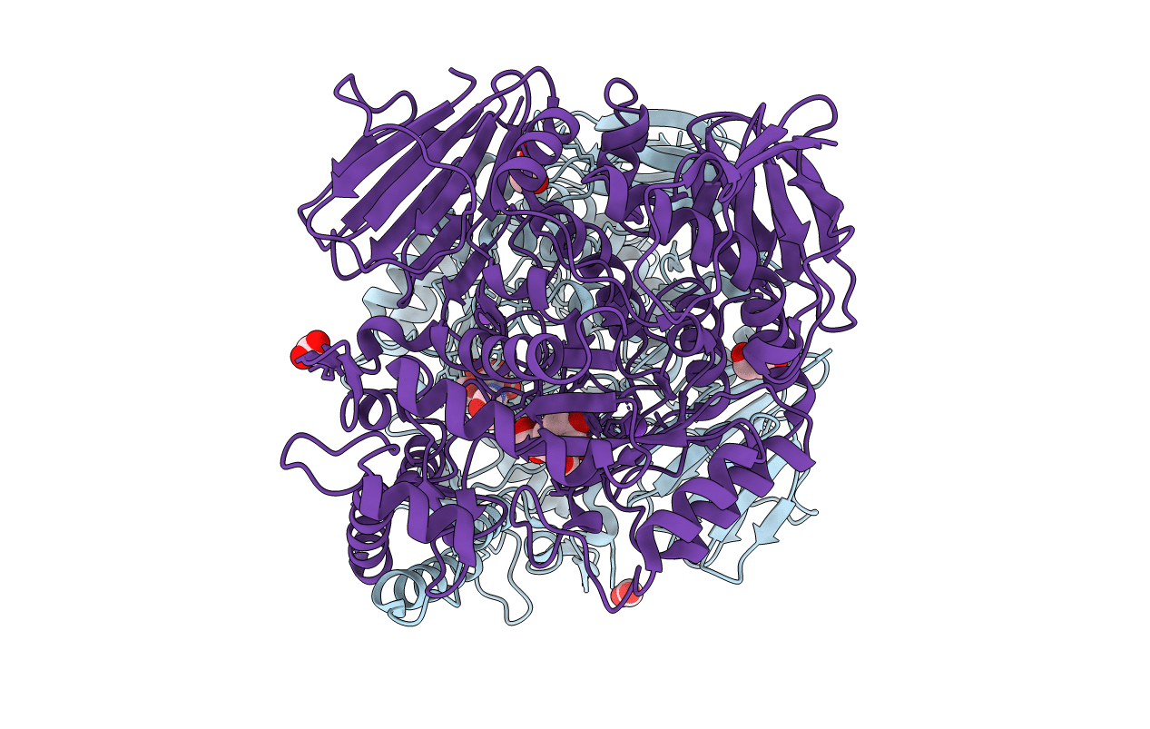 6C9X image
