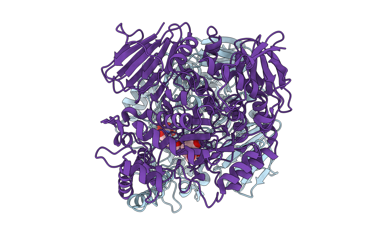 6C9Z image