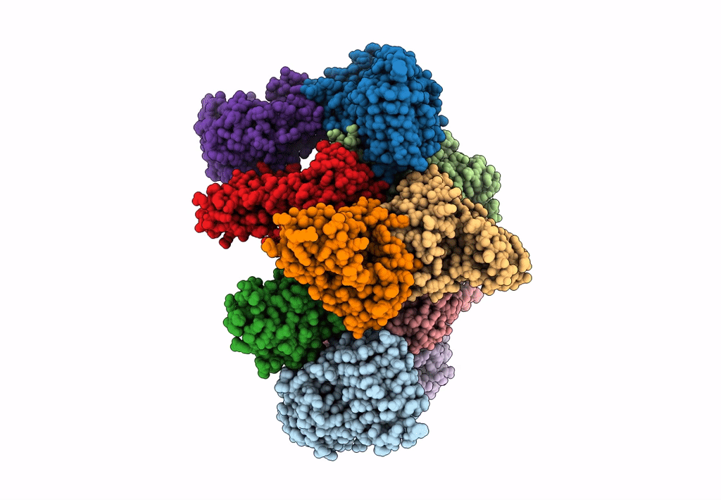 6CAJ image