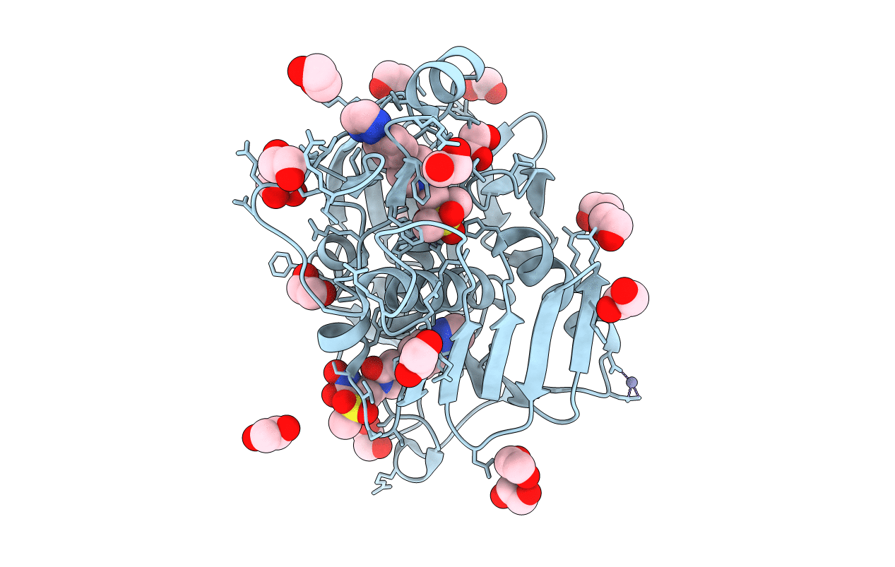 6CAX image
