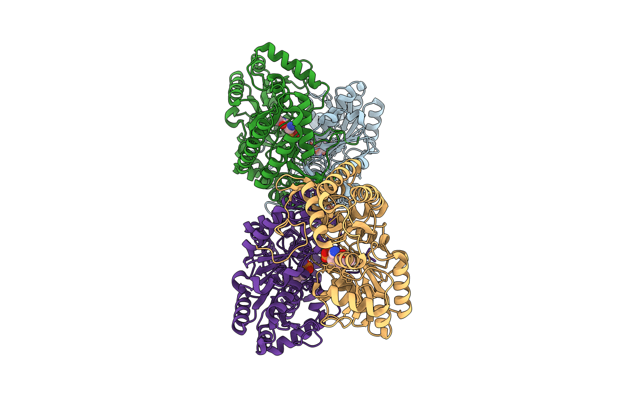 6CBK image