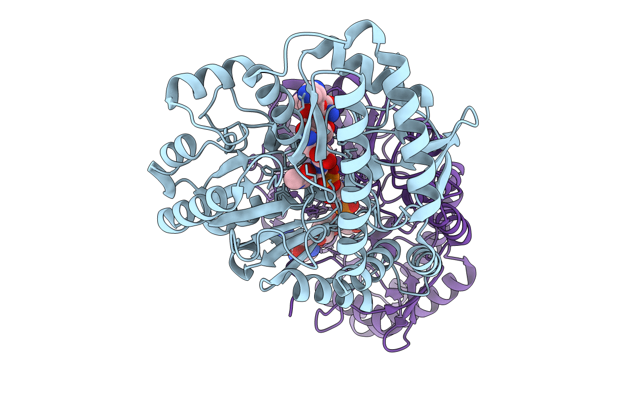 6CBN image