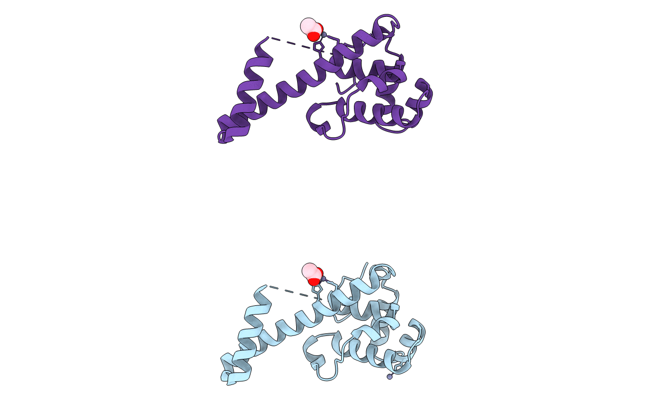 6CBT image