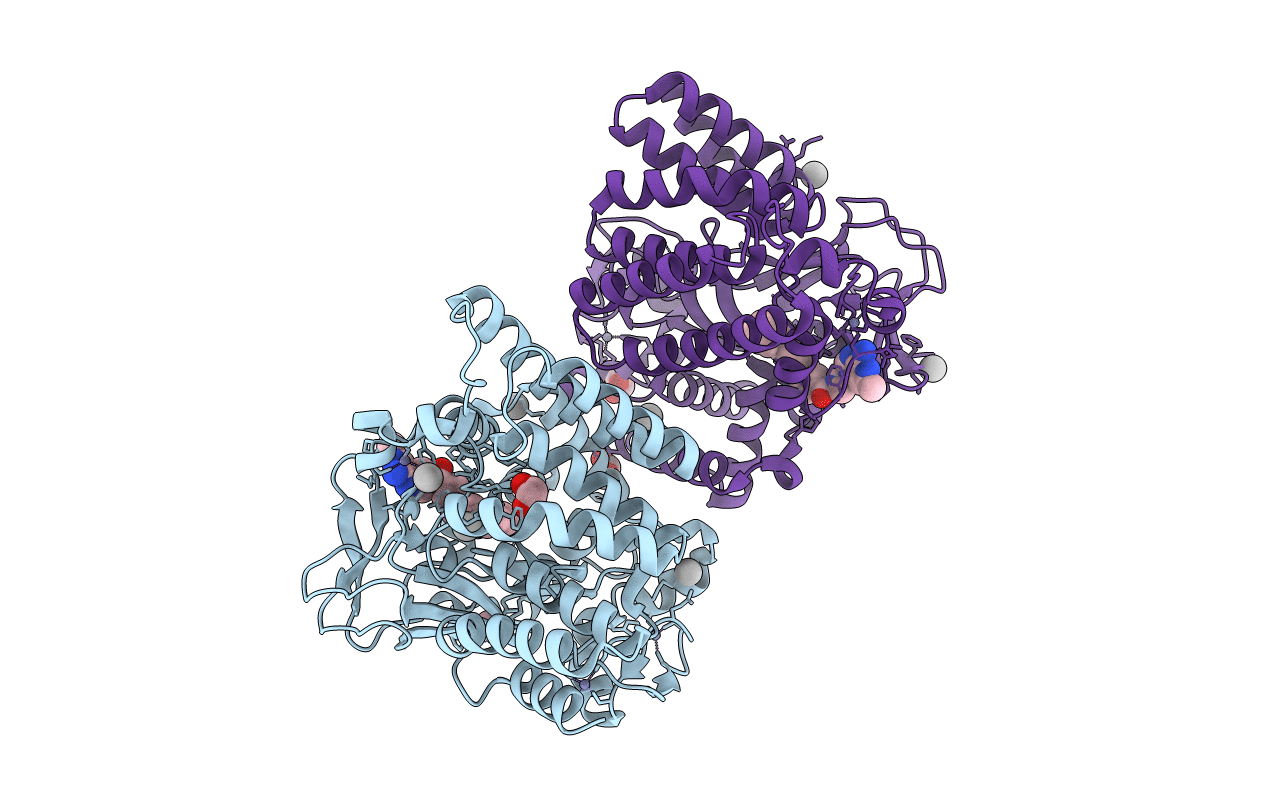 6CBX image