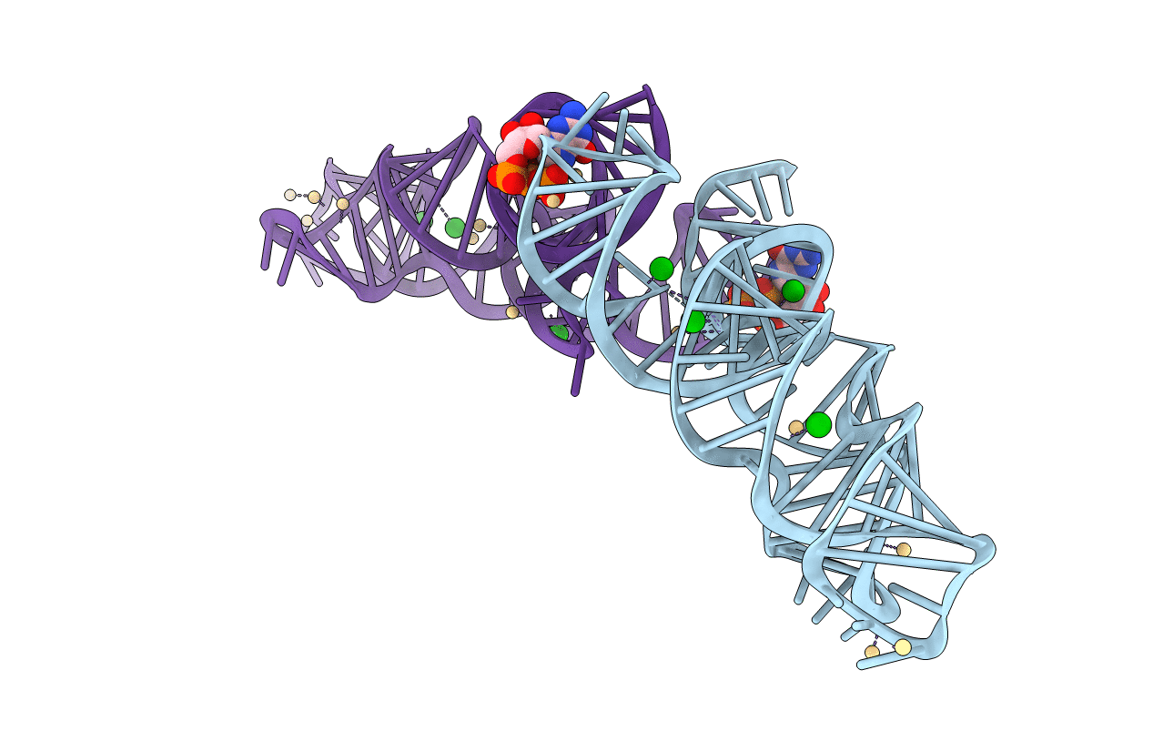 6CC1 image
