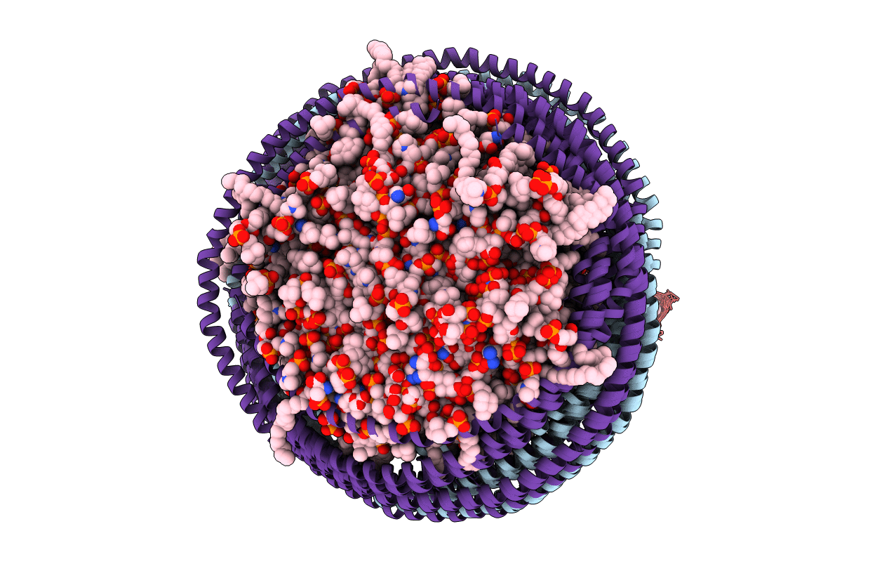 6CC9 image