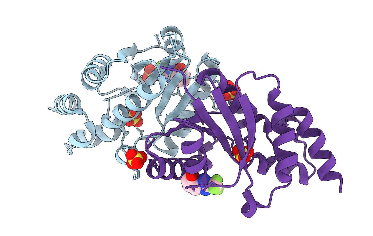 6CCS image