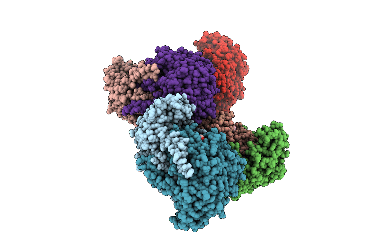 6CD1 image