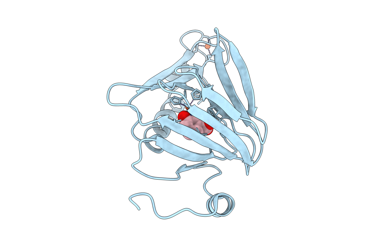6CD3 image