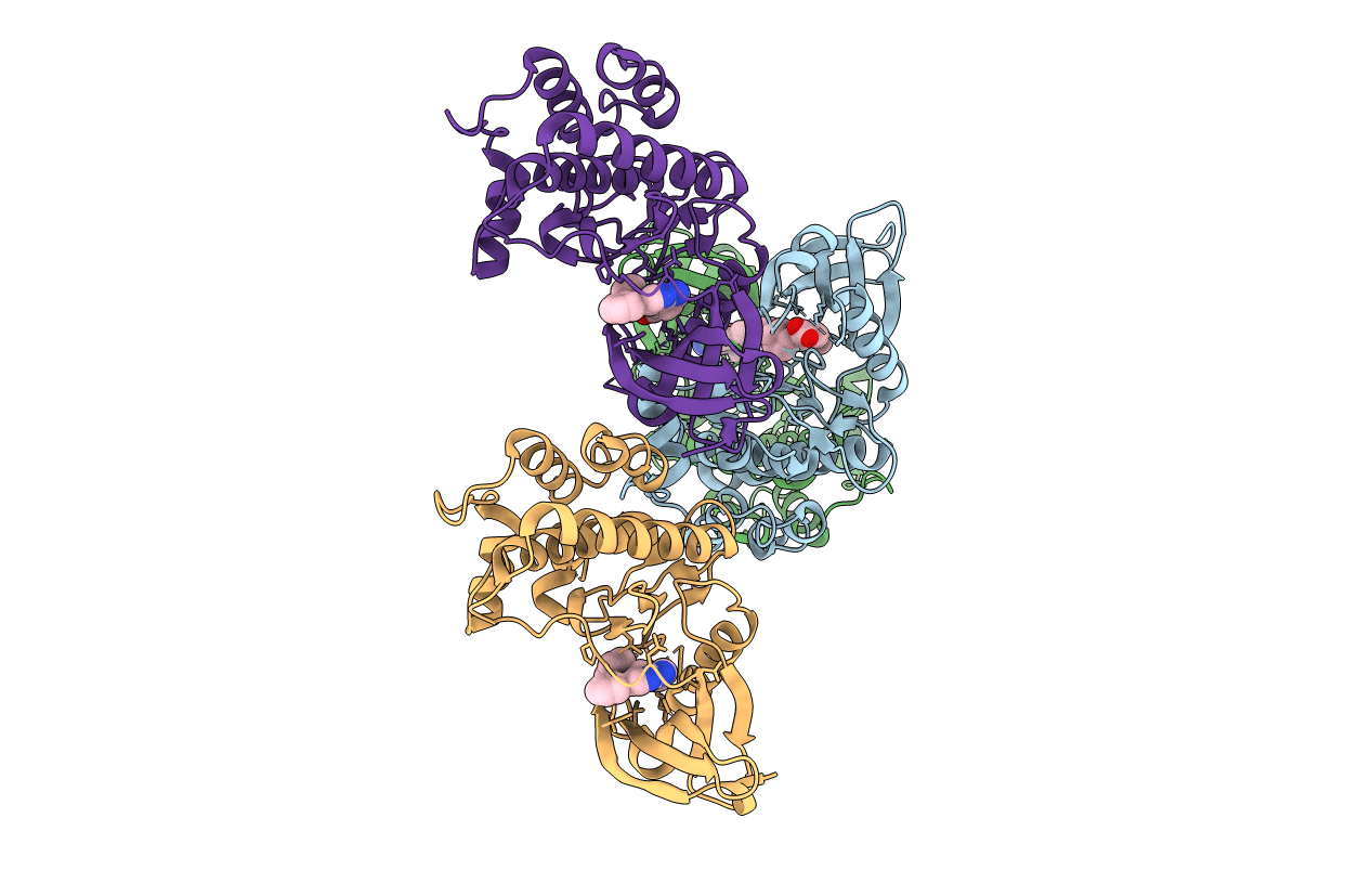 6CD6 image