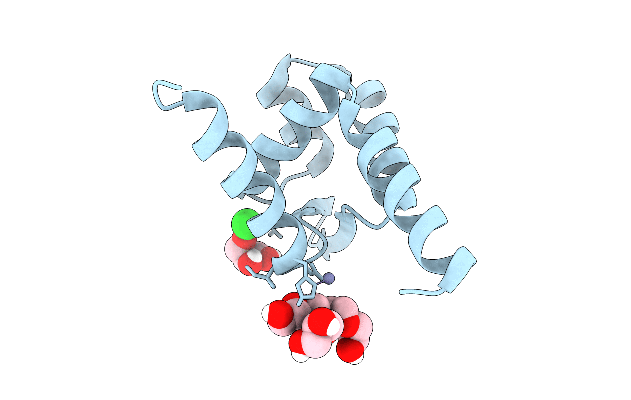 6CDA image