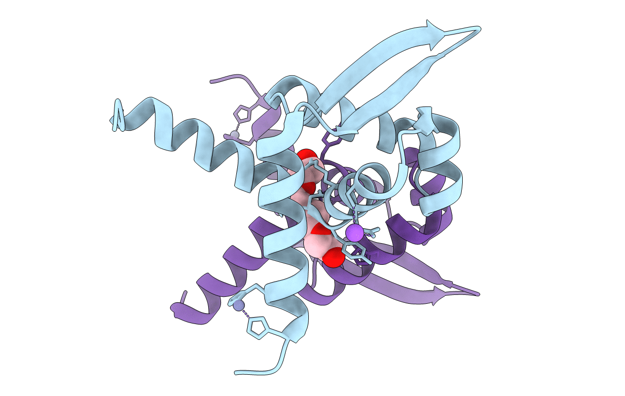 6CDB image