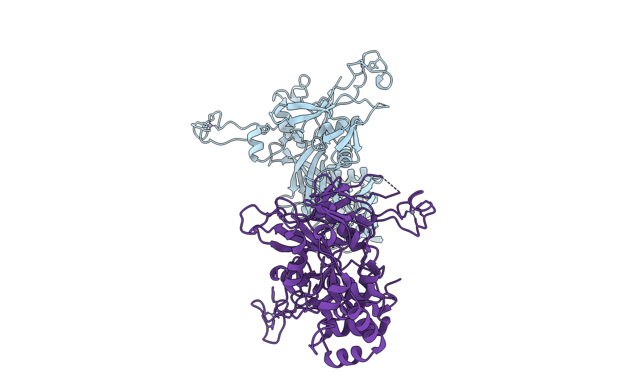 6CDD image