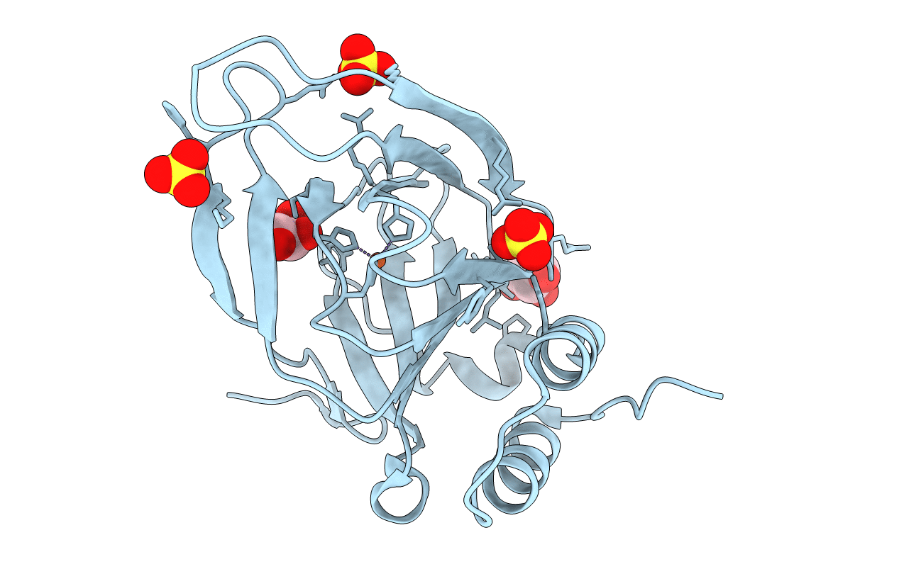 6CDH image