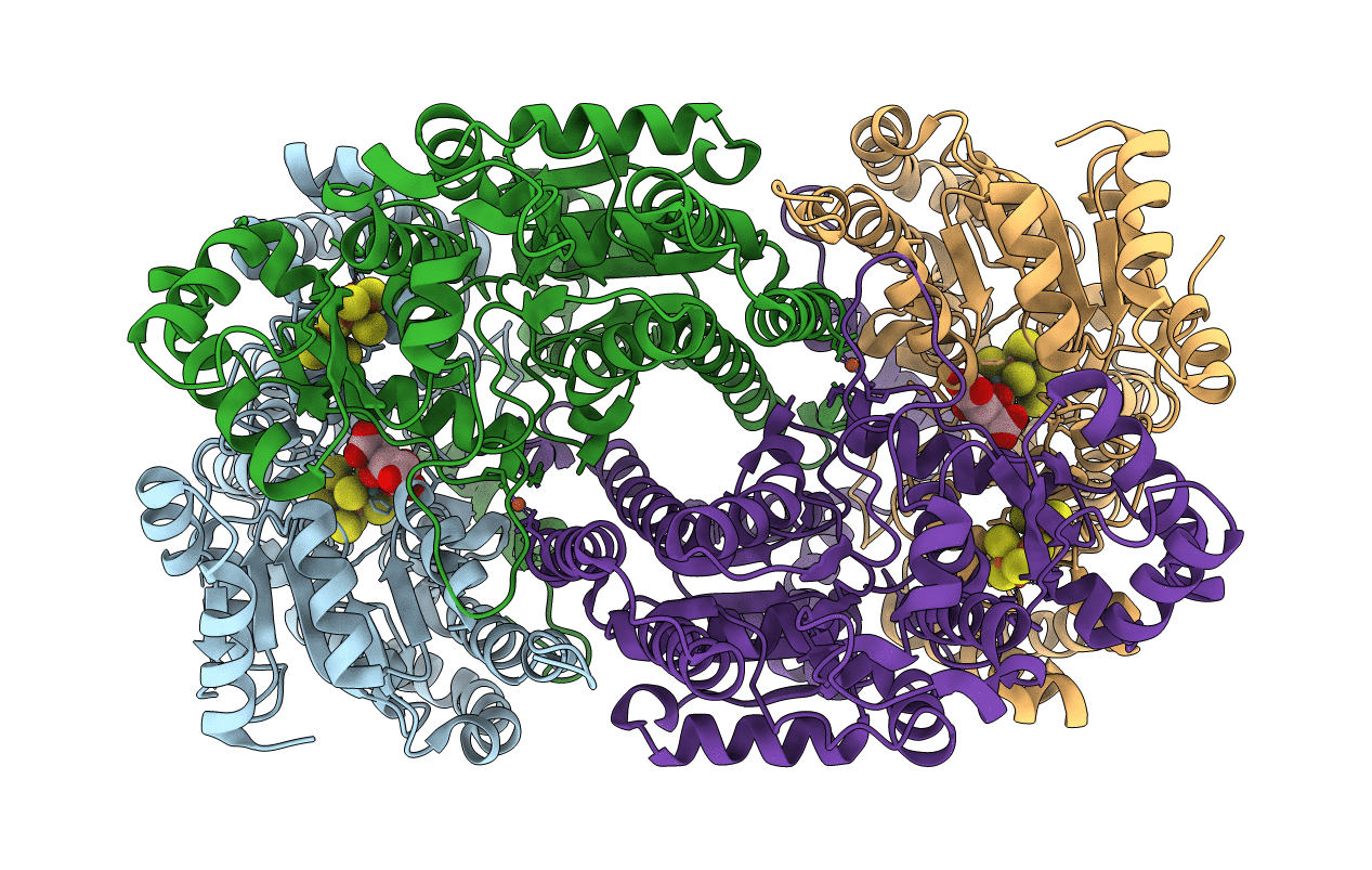 6CDK image