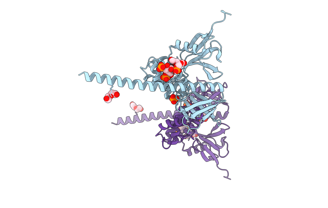 6CDS image