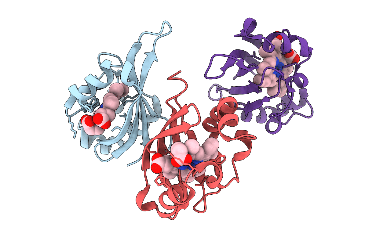 6CEQ image
