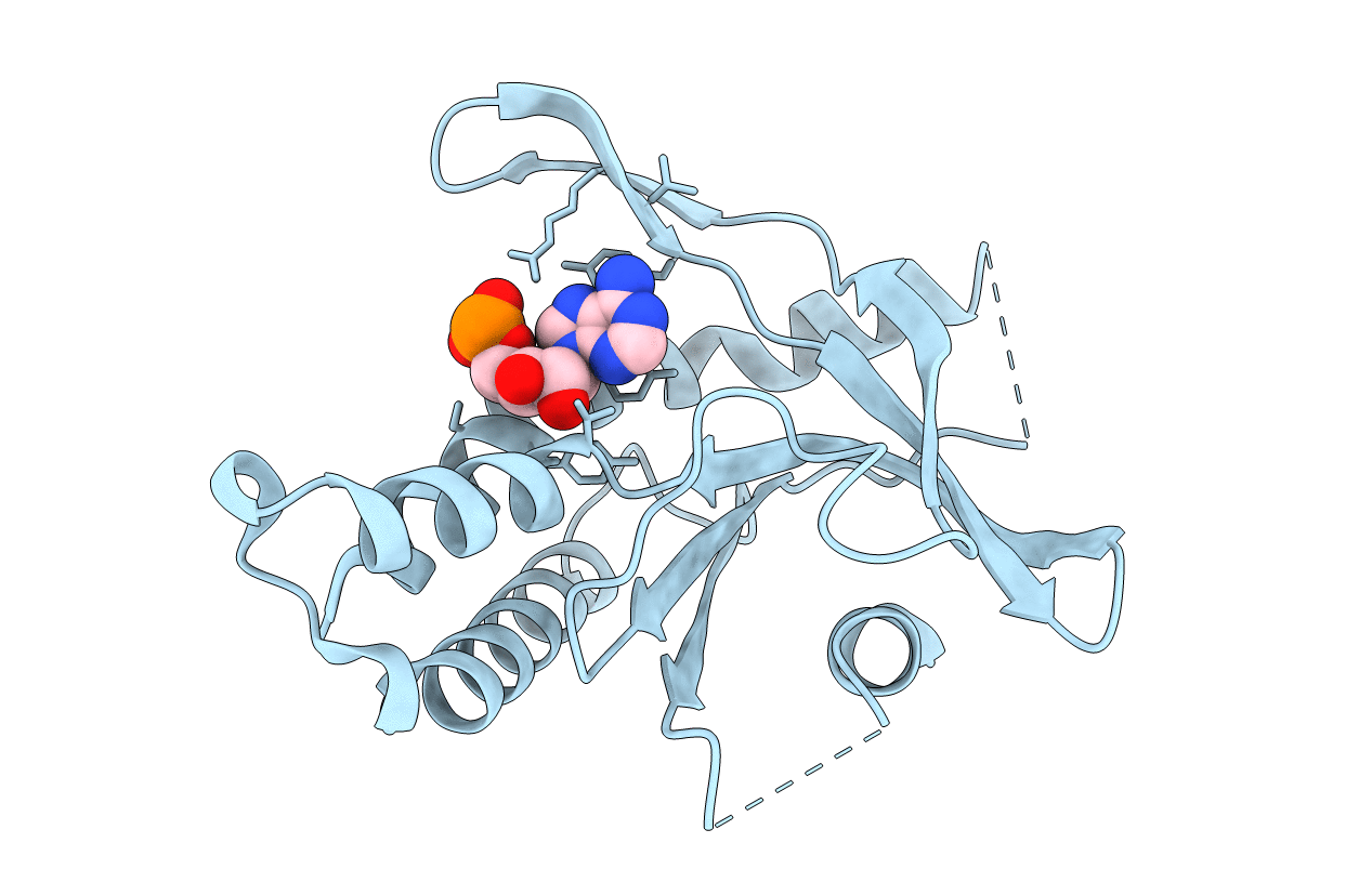 6CFF image