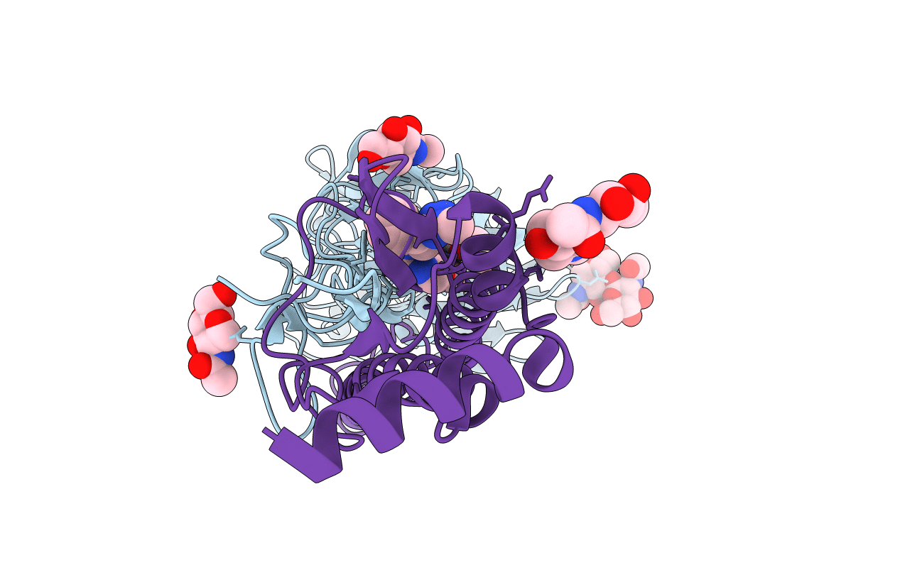 6CFG image
