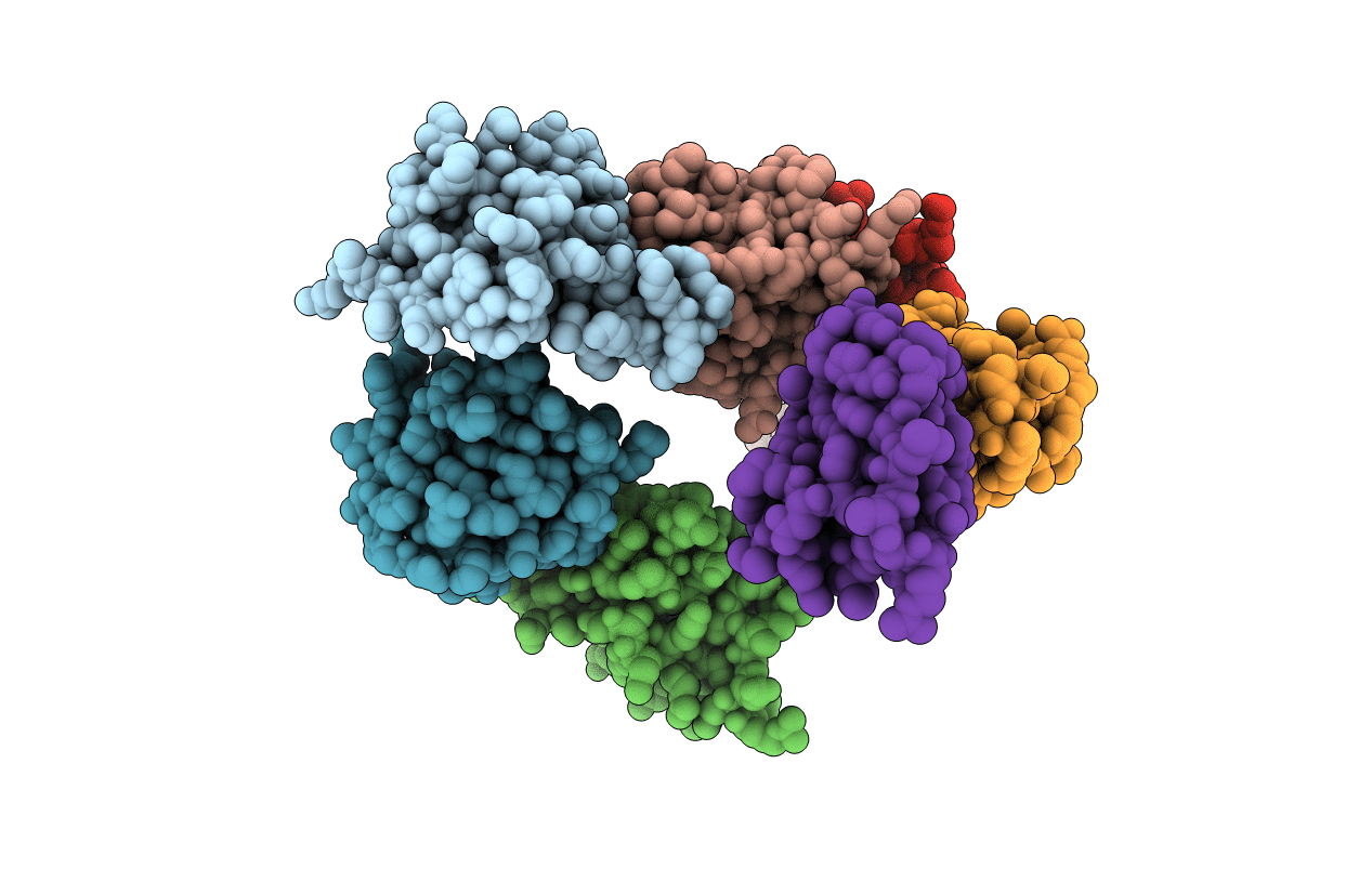 6CFN image