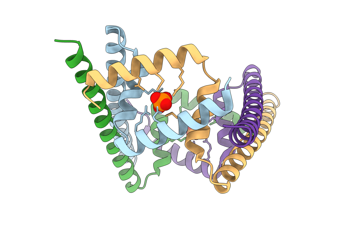 6CFX image