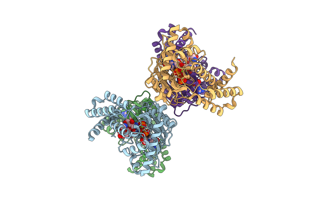 6CGD image