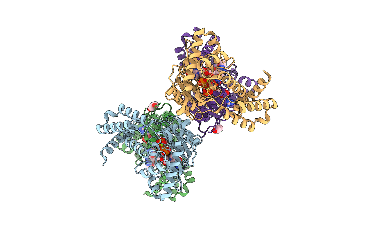 6CGG image