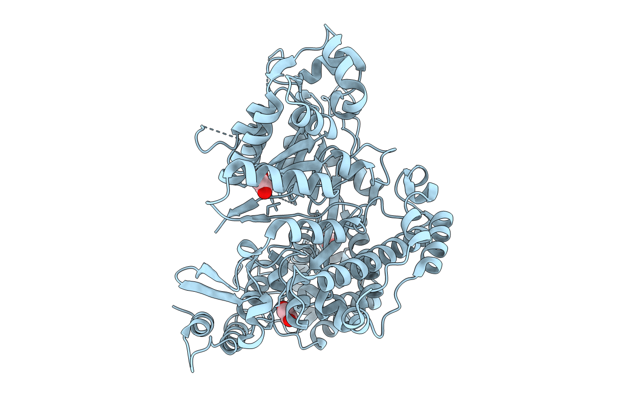 6CGM image