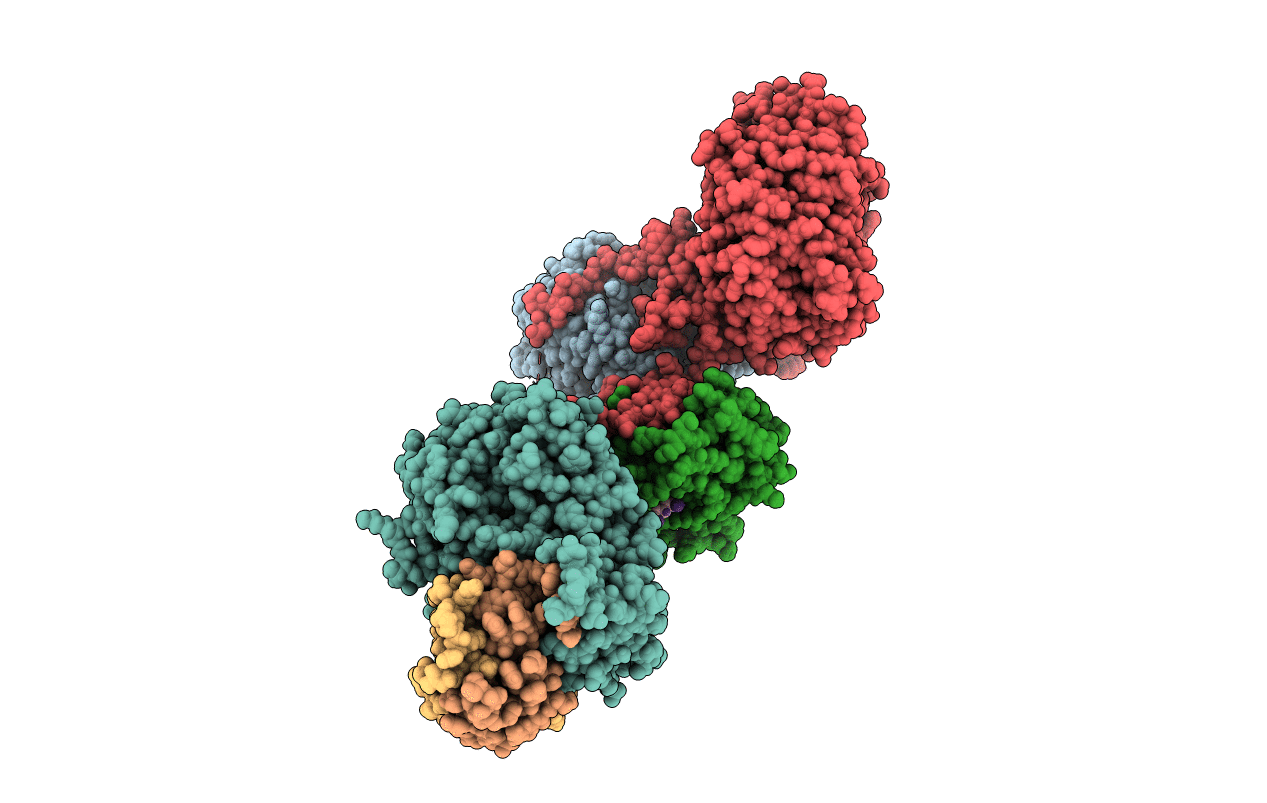 6CHG image