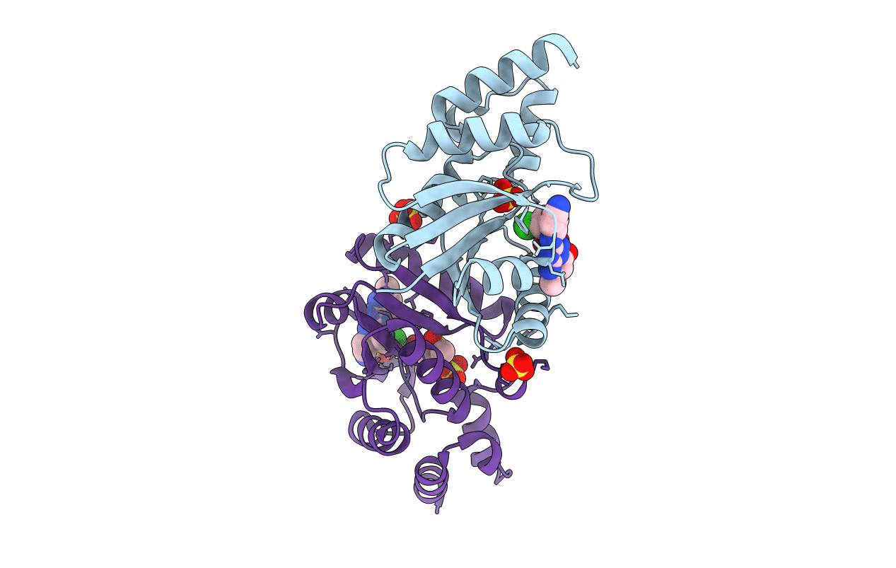 6CHL image