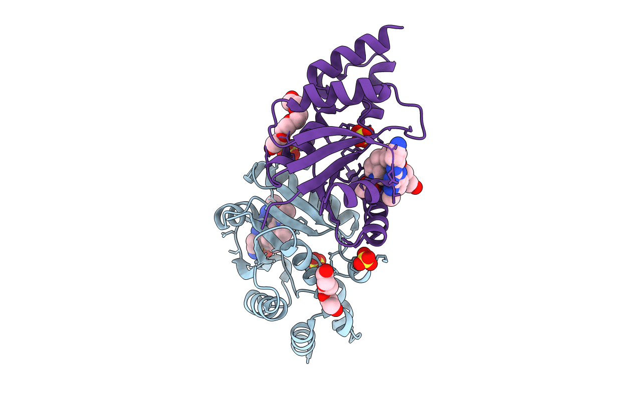 6CHP image