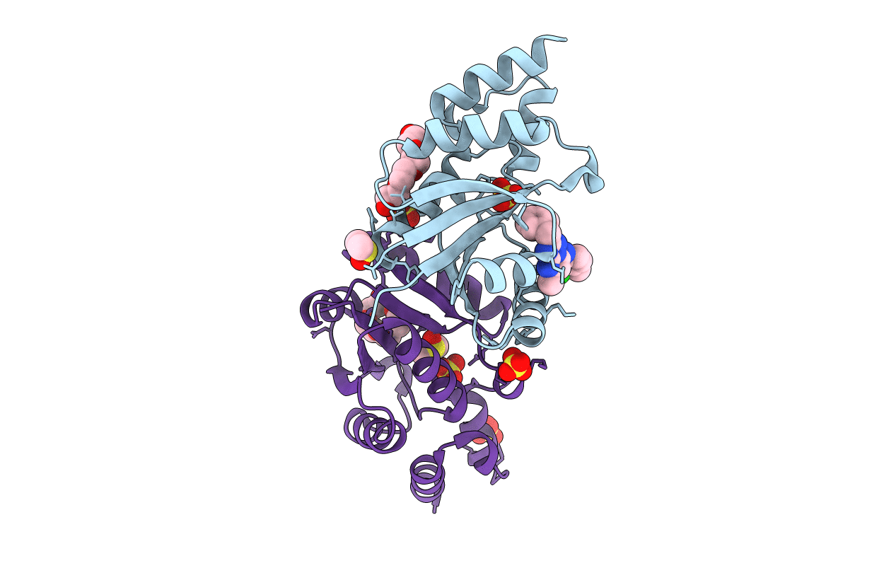 6CHQ image