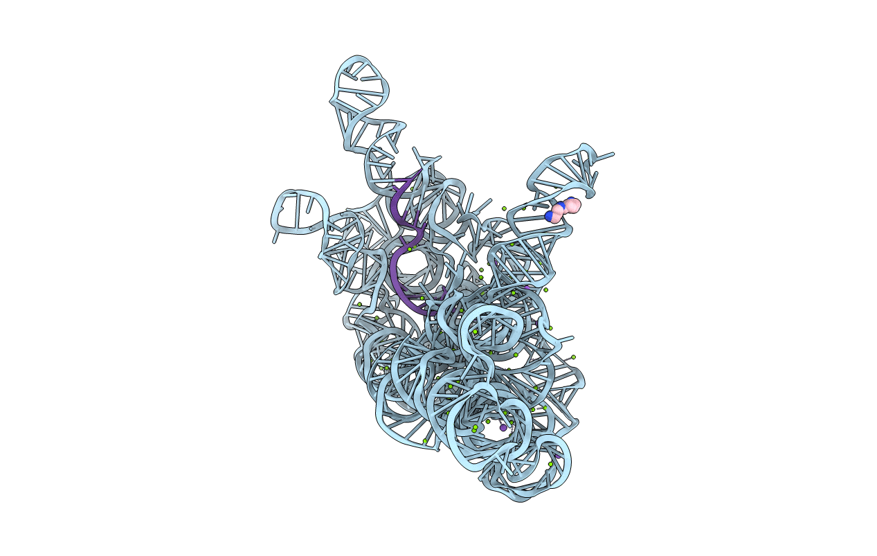 6CHR image