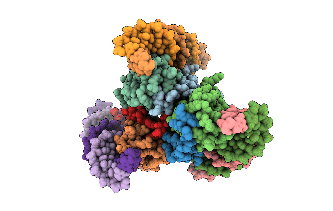 6CHV image