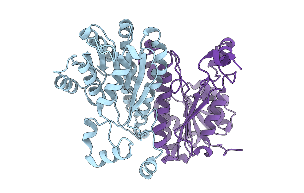 6CI8 image