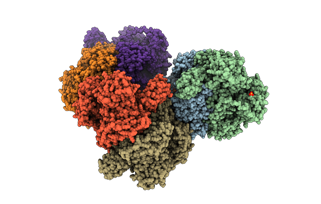6CIN image