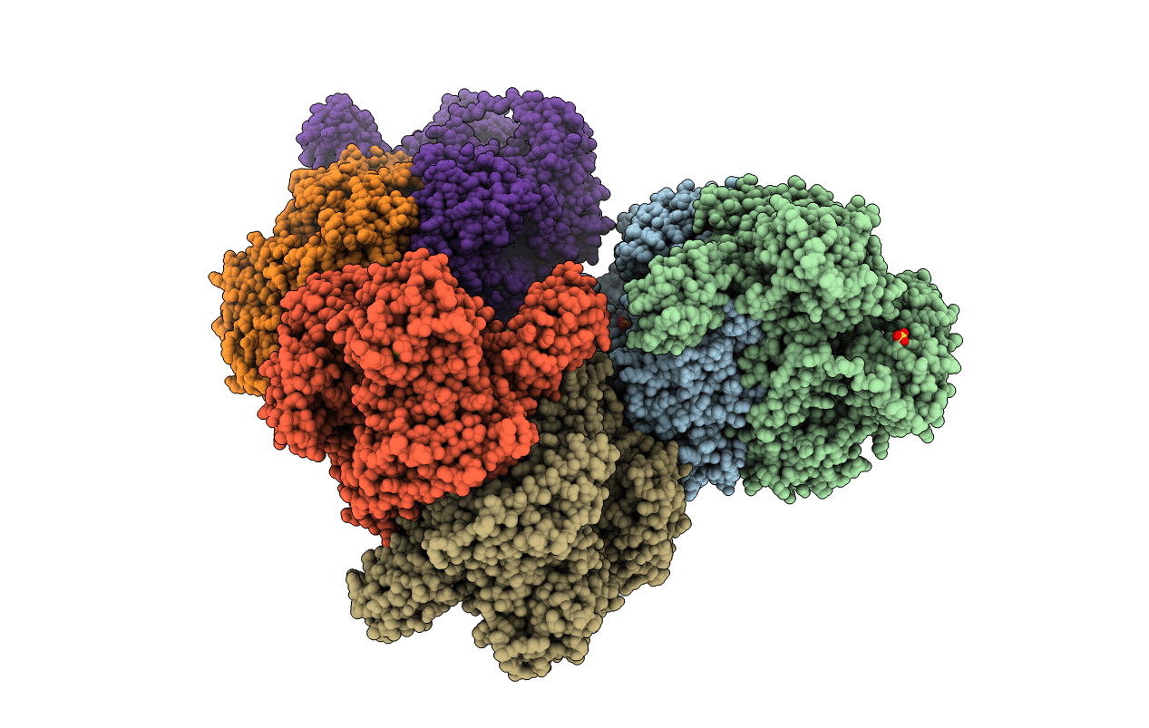 6CIP image