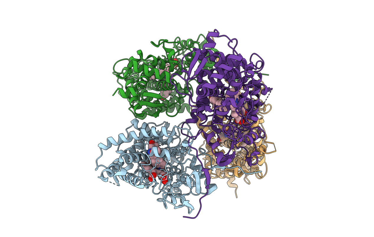 6CIR image