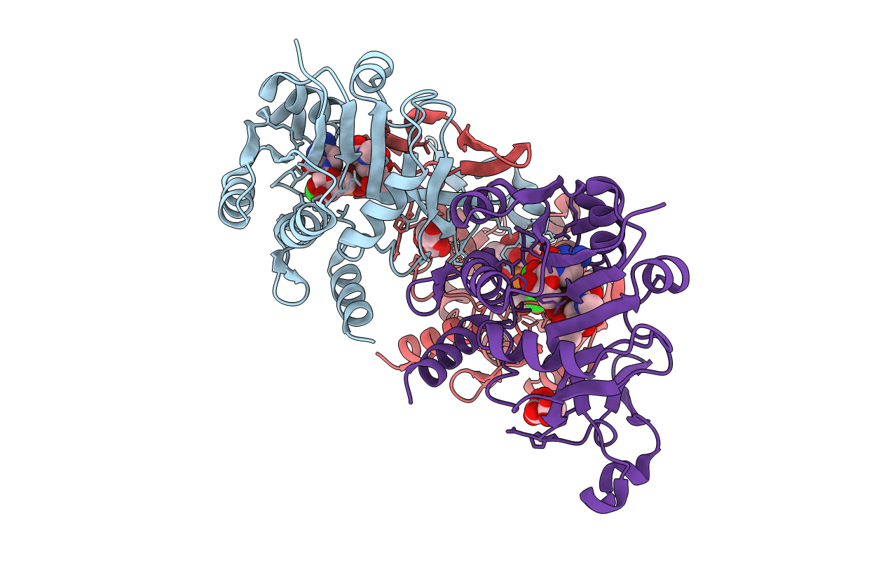 6CKL image