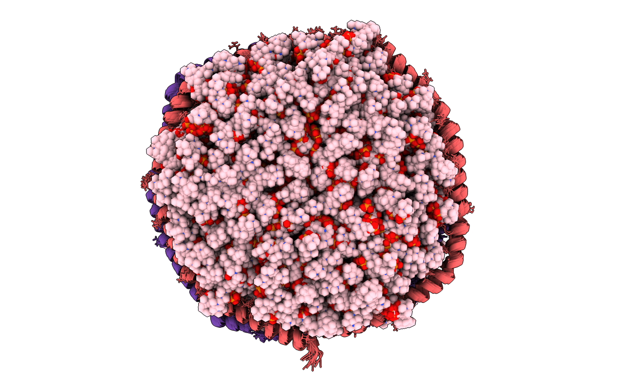 6CLZ image