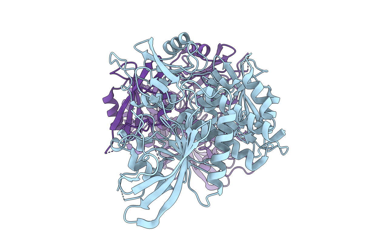 6CMP image