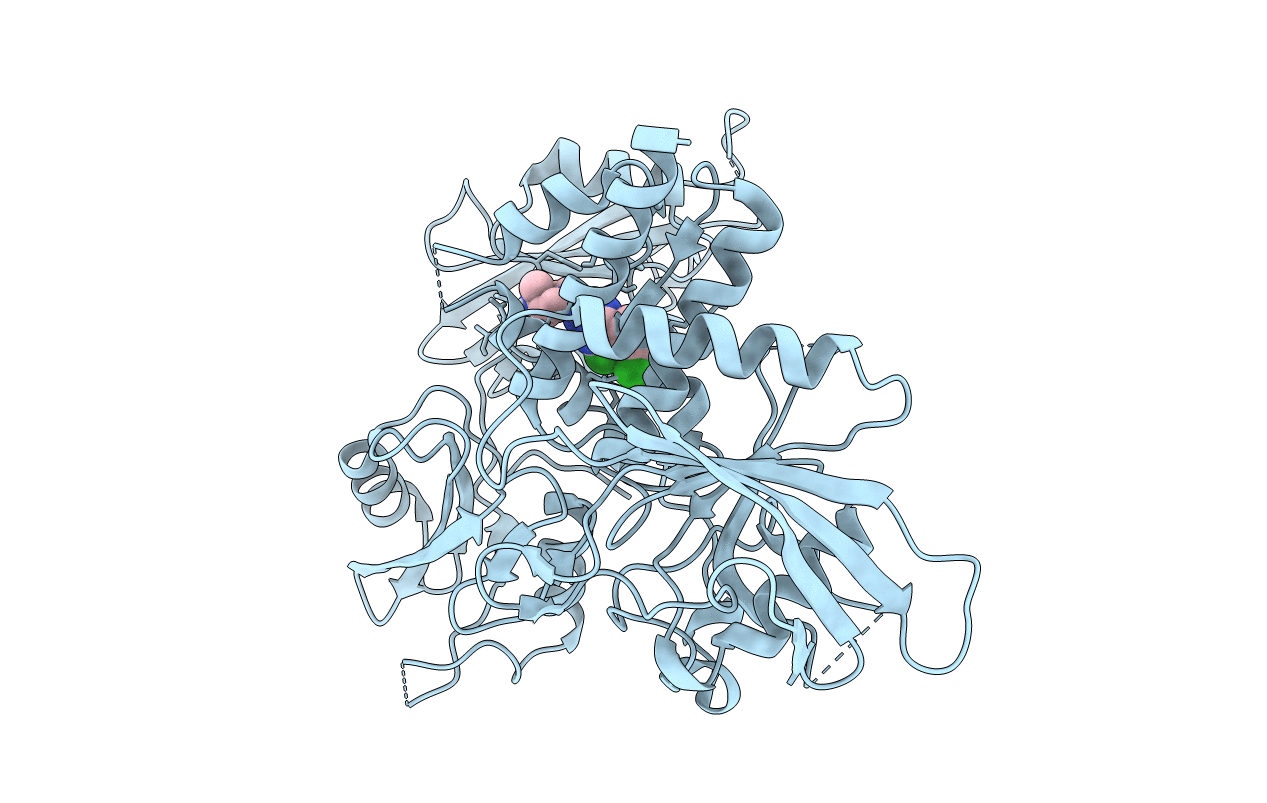 6CMR image