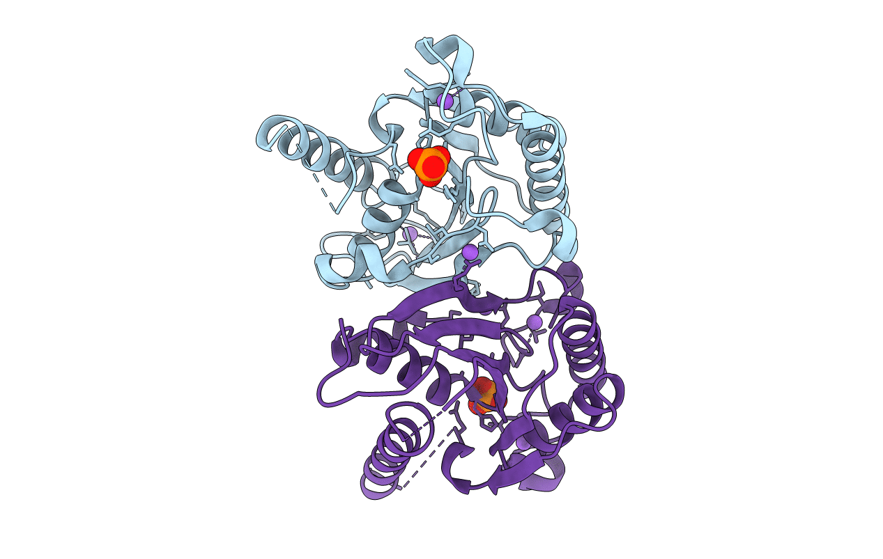 6CNI image