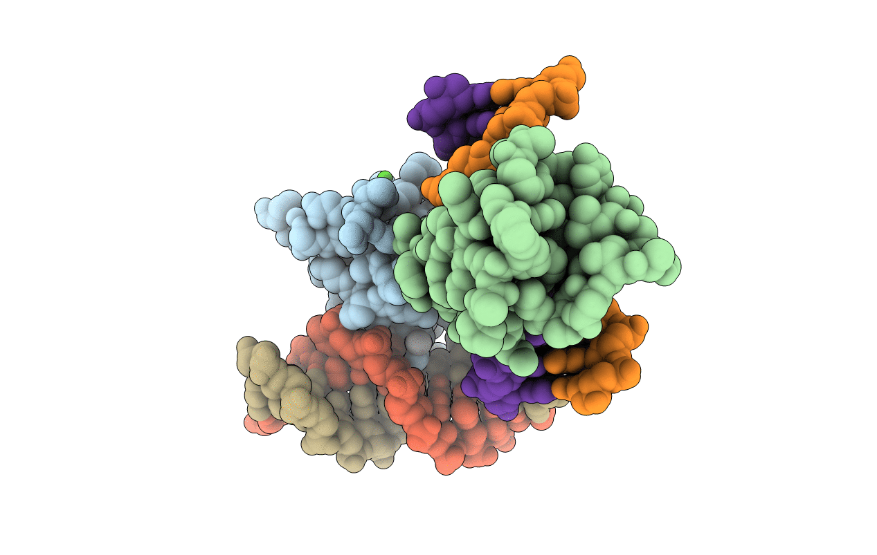 6CNP image