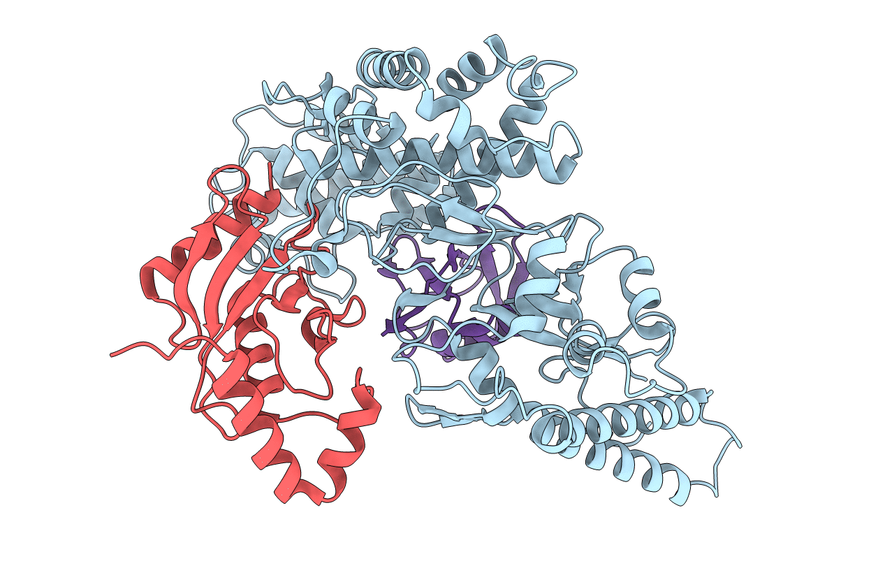 6CP2 image