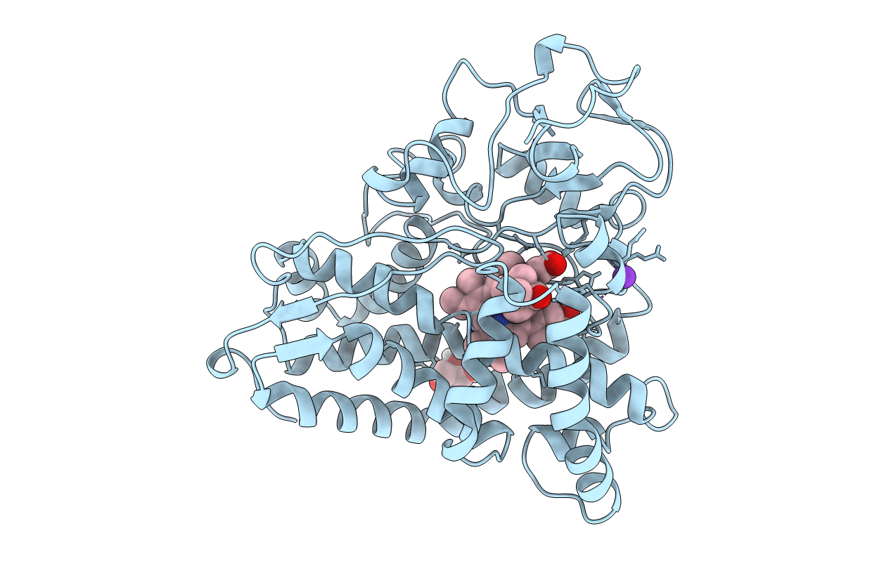 6CP4 image