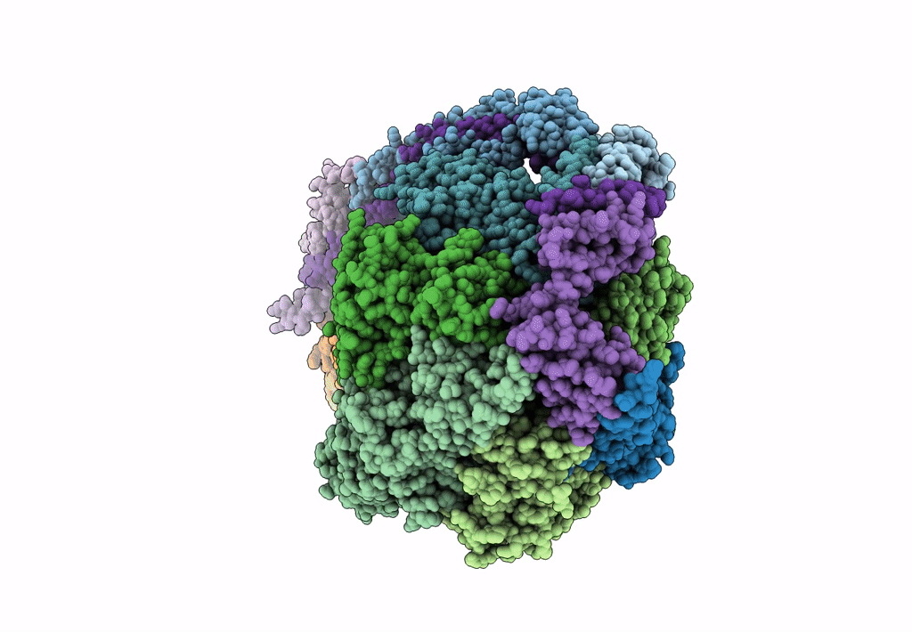 6CP6 image