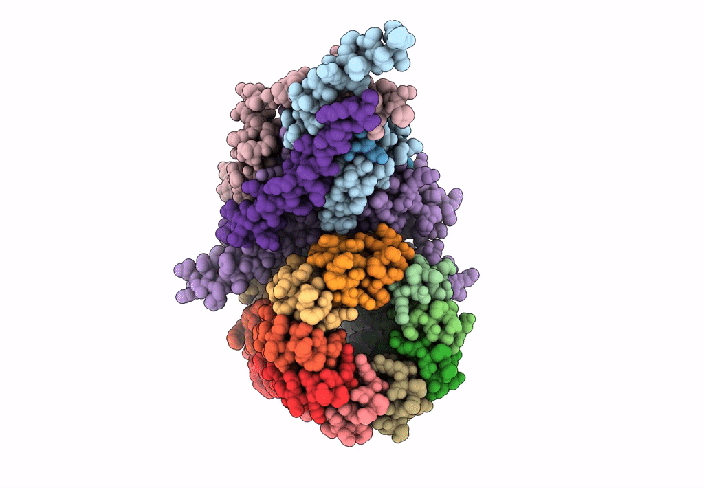 6CP7 image
