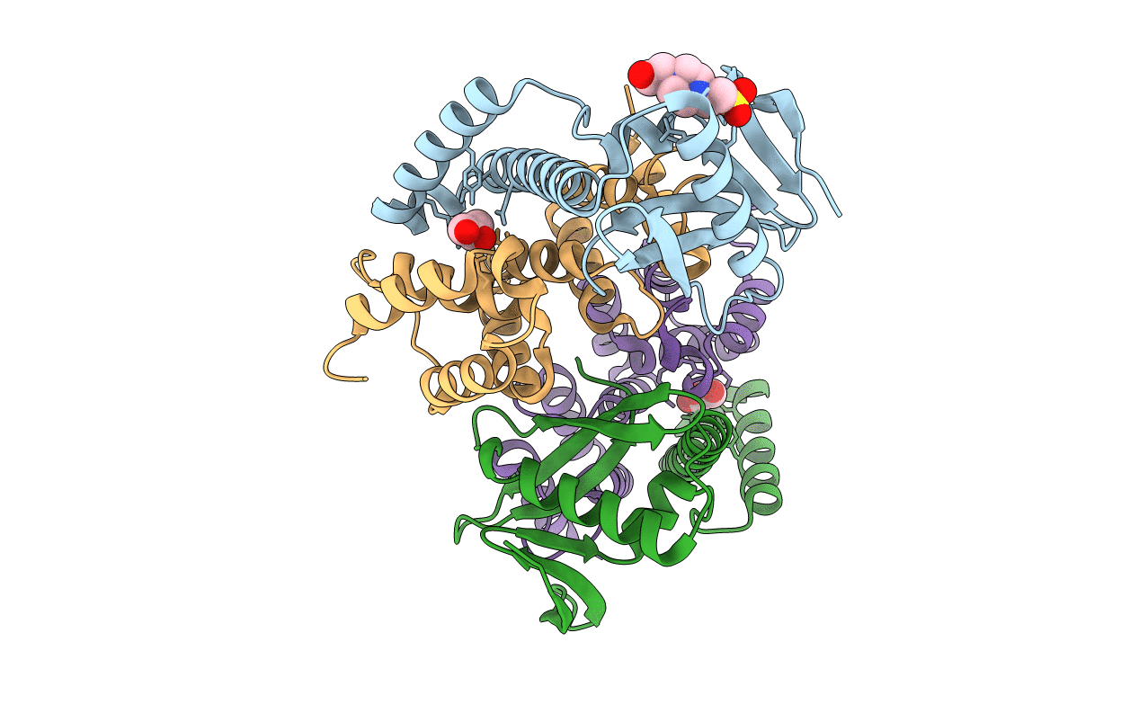 6CP8 image