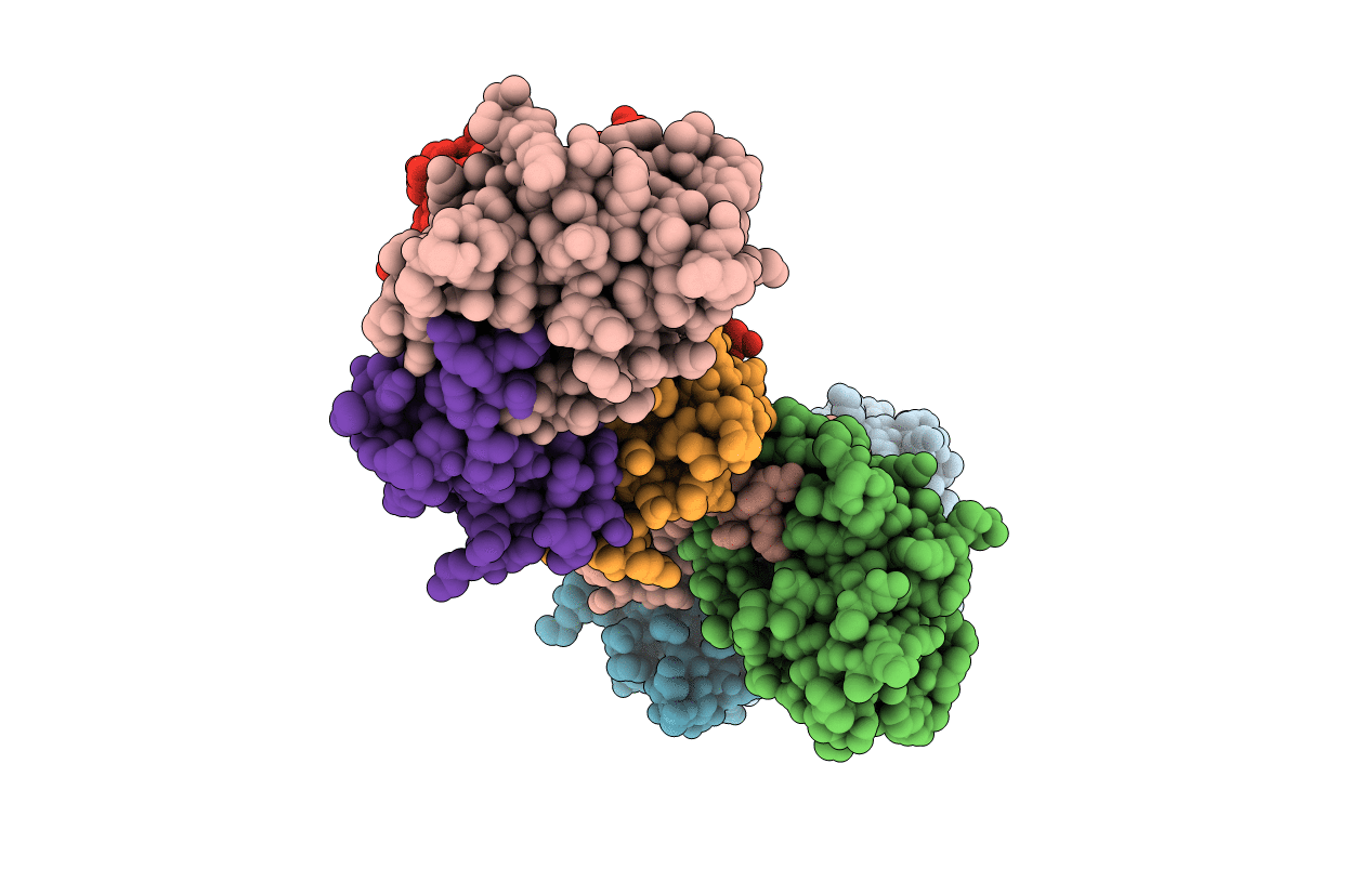 6CP9 image